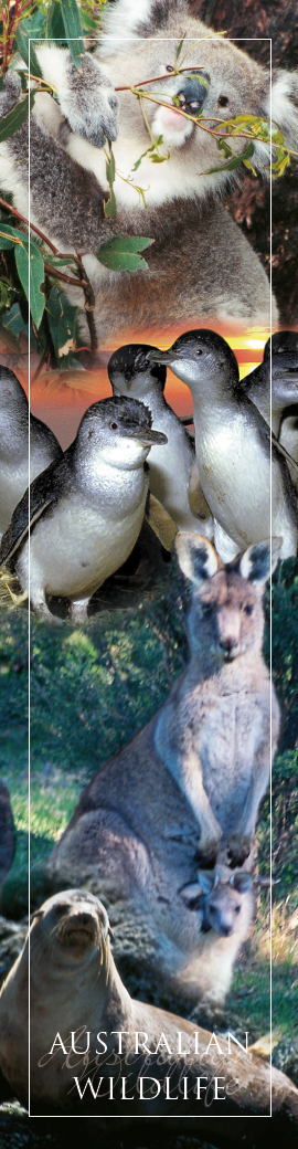 Australian Wildlife Bookmark front
