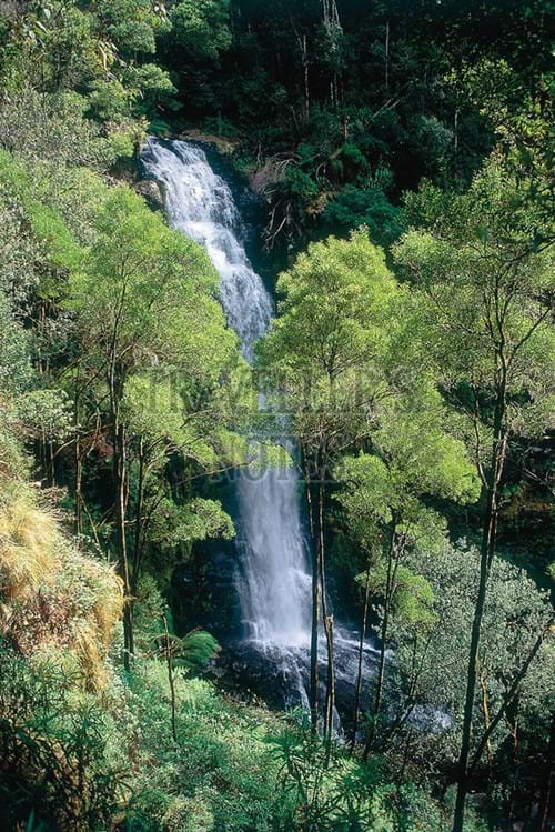Erskine Falls