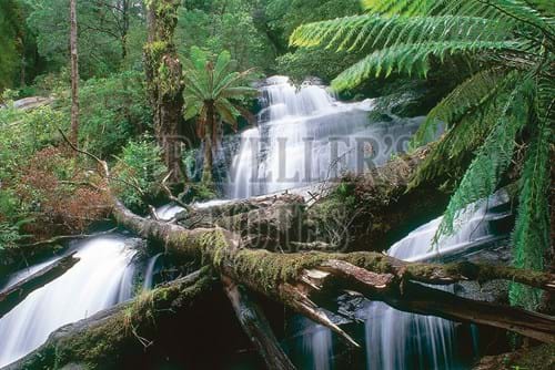 Triplet Falls