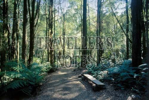 Otway Ranges