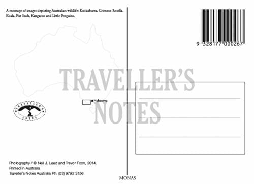 Koala Post Card back